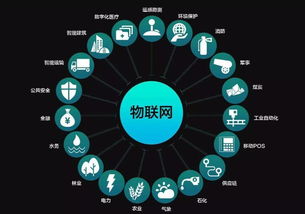 數字科技 點亮智慧生活，技術服務新篇章